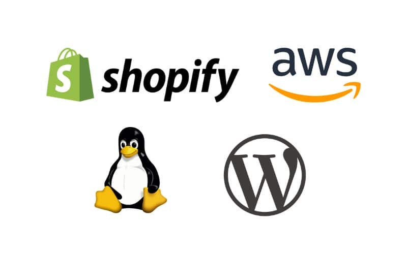 Website Development